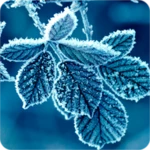 Logo of Winter Wallpapers [HD quality] android Application 